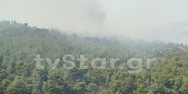 Υπό έλεγχο τέθηκε η φωτιά στον Πισσώνα Ευβοίας